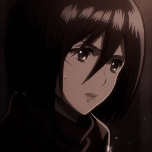 mikasa, animação sancha, mikasa ackerman, três deuses atacam titã, ataques do titã três casca ackerman