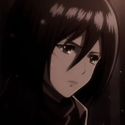 mikasa, ataque mikasa, ataque titã, mikasa ackerman, três deuses atacam titã