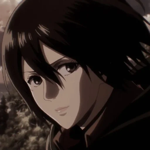 mikasa, ataque titã, mikasa ackerman, mikasa ackerman, ataques do titã três casca ackerman