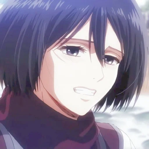 mikasa, mikasa, mikasa ackerman, mikasa ackerman, the attack of the three gods titan