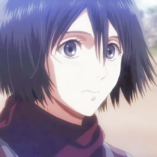 mikasa, mikasa, mikasa akkerman, mikasa akkerman, anime mikasa akkerman