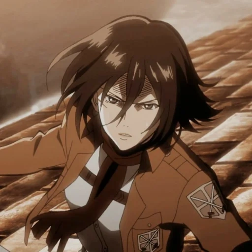 titan mikas, attack of the titans, mikasa akkerman, mikasa akkerman, attack of mikas's titans