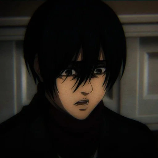 anime, anime boy, l'attaque des titans, personnages d'anime, mikasa ackerman