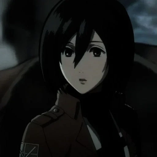 mikasa, mikasa, akkerman mikas, mikasa akkerman, mikasa ataque dos titãs