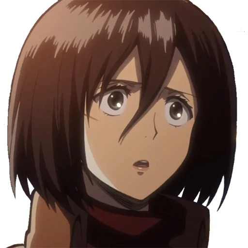 mikasa, микаса атака, микаса аккерман, mikasa ackerman, микаса атака титанов