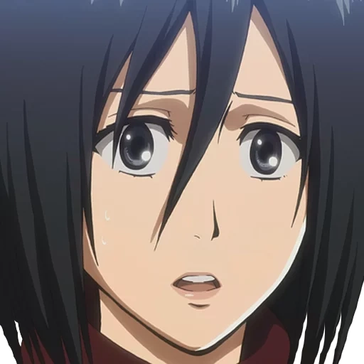 микаса, mikasa, микаса аккерман, mikasa ackerman, микаса аккерман icon