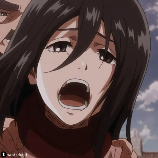 mikasa, attacco di mikasa, mikasa ackerman, tre dei attaccano i titani, titan attack three casa ackerman