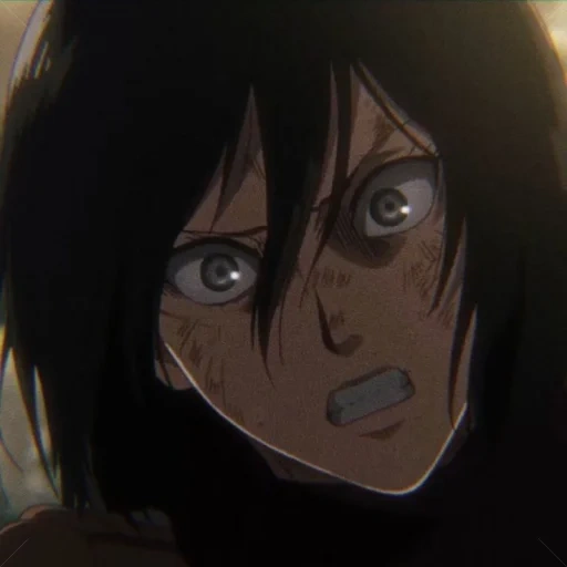 mikasa, ataque mikas, titan mikas, ataque dos titãs, ataque dos titãs de mikas