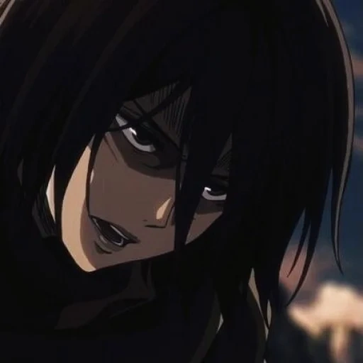 mikasa, la figura, attacco di mikasa, l'attacco dei titani, mikasa ackerman