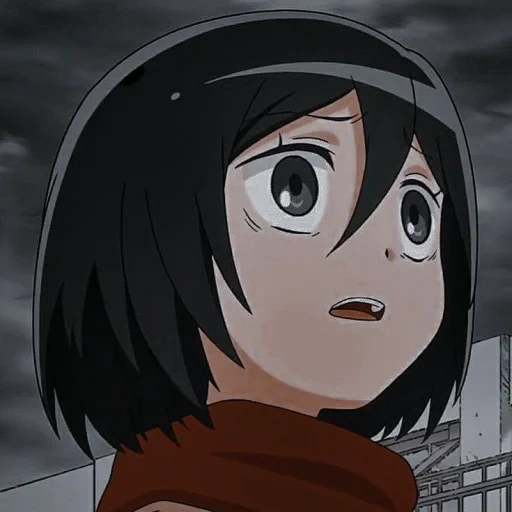 mikasa, picture, mikasa akkerman, rukia kuchiki 366, attack of the titans of anidab