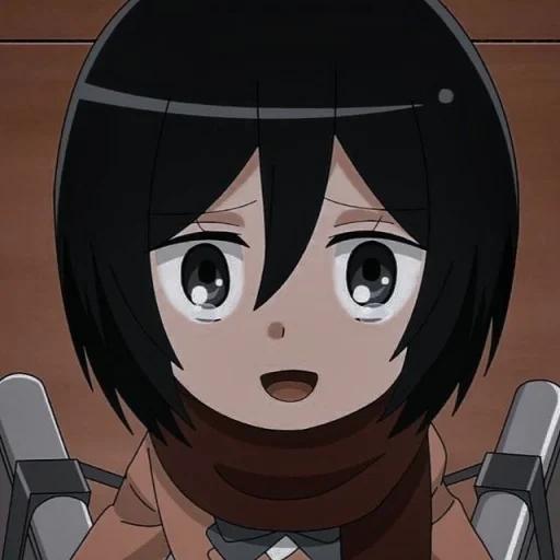 micasa, mikasa ackerman, attack of the three gods titans, mikasa ackerman junior high, mikasa attack auf titan junior high