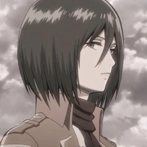 the mikasa, mikassi titan, titan attackiert owa, three whiskers attackieren titan, attack of the three gods titans