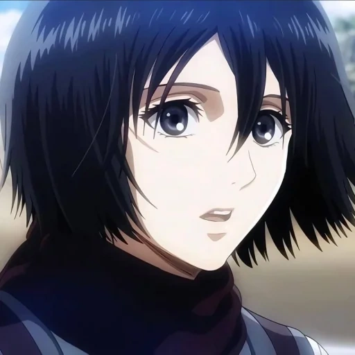 mikasa, mikasa, ackerman mikasa, tres dioses atacan titán, sancang ackerman cuarto trimestre