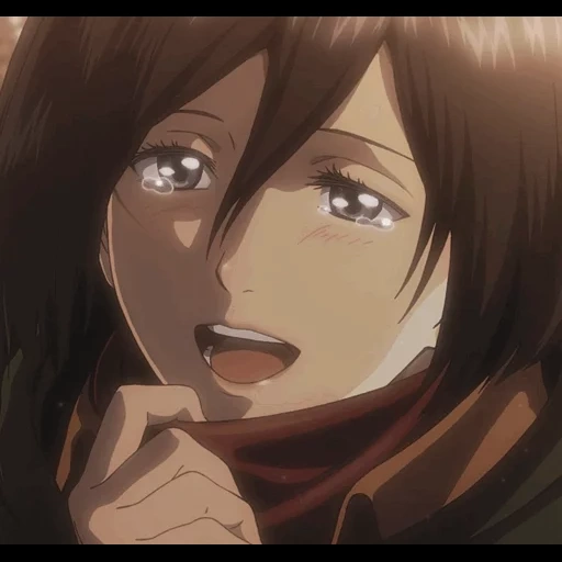 the mikasa, mikasa ackerman, aimer zankyou sanka, attack of the three gods titans, titan attackiert die drei götter titan