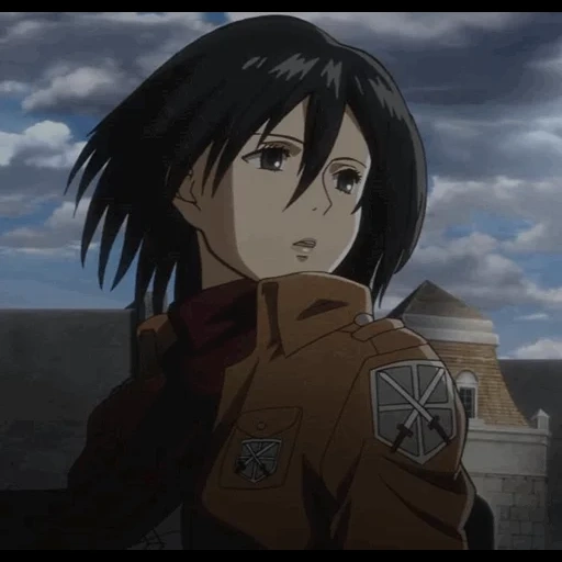 mikasa, mikasa, attacco dei titani, attacco dei titani di mikas, mikasa akkerman titan