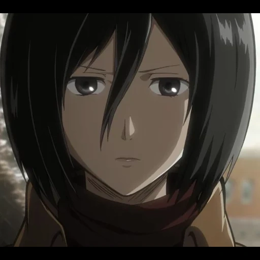 micasa, attaque de mikasa, mikasa ackerman, mikasa ackerman, les trois dieux attaquent les titans