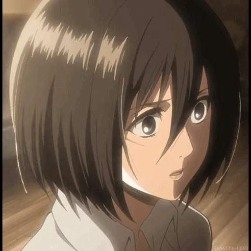 mikasa ackerman, les trois dieux attaquent les titans, mikasa ackerman skrina, yayama mizaki attaque les titans, mikura ackerman attaque les titans