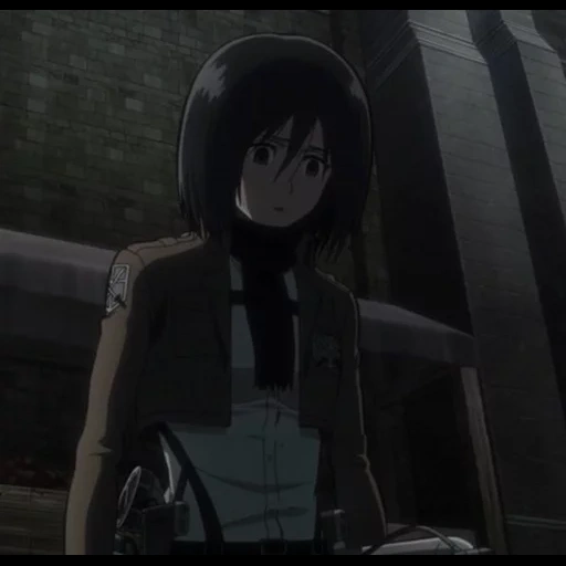 anime, attack of the titans, anime characters, mikasa akkerman, touching flash assault on mikasa