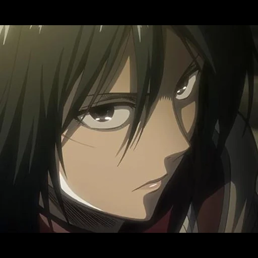 micasa, mikasa-angriff, attack of the titans, mikasa ackerman, ackerman micasa