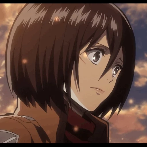 the mikasa, attack of the titans, ackerman micasa, attack of the three gods titans, three deer attack titans staffel 1