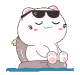 quby, ami fat cat, kawai seal, ami kucing gemuk