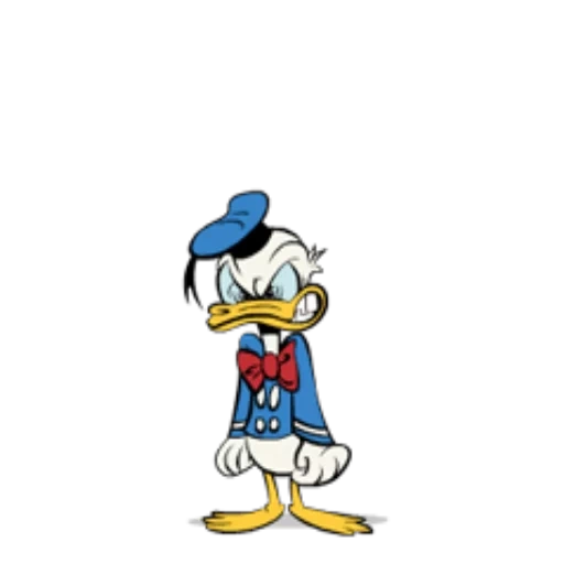 donald, donald duck, donald duck 2013, angry donald duck, montage de donald duck