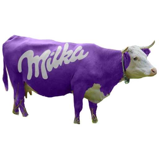 milka, ordenhe uma vaca, milka de vaca, milka de chocolate, alpine cow milka
