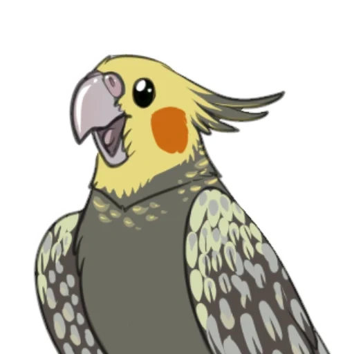corella, oiseau de corella, amazone de corella, anime de corella le perroquet, parrot de corella femelle