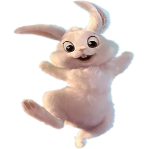 the bunny, süßes kleines kaninchen, der tanzende hase, nette kleine kaninchen, kleine kaninchen lustige transparente hintergrund