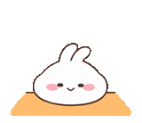 coniglio, coniglio carino, modello di coniglio, modello di coniglio carino