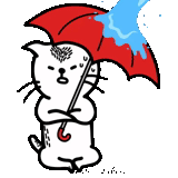 gato, sombrilla, bajo el paraguas, el gato es un paraguas, un paraguas bajo la lluvia