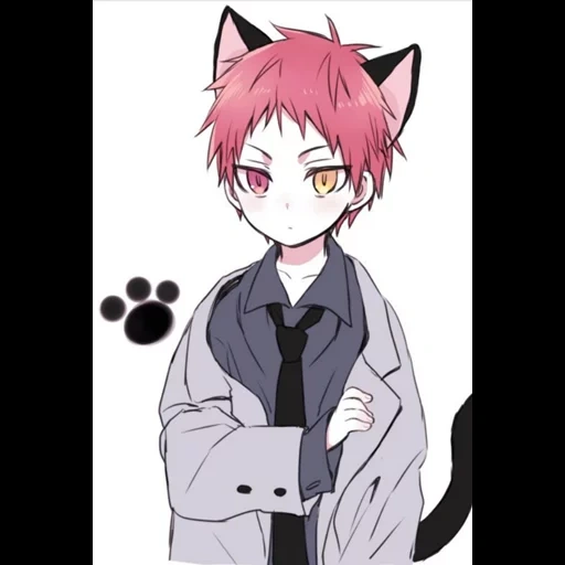 animação neko kun, basquete preto, animação amino amino, akashi akashi ichiro kitsune, basquete akashi akashi chibi