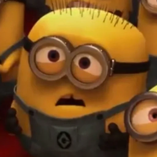 chico, secuaces, los minions se ríen, los minions son divertidos, minion sorprendido