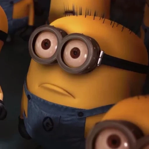 minion, garçons, sbire, les sbires laids, minions ridicules