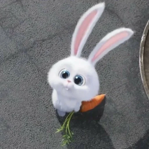 lindos coelhos, bola de neve de coelho, coelho de desenho animado fofo, desenho animado da bola de neve de coelho, life secreto do desenho animado do coelho