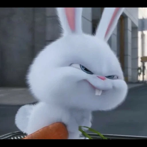 evil bunny, angry rabbit, rabbit snowball, evil hare with carrots, little life of pets rabbit