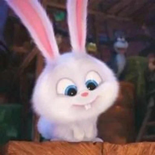 kaninchen schneeball, cartoon bunny secret life, kleines leben von haustieren kaninchen, letztes leben von haustieren kaninchen schneeball, kaninchen schneeball letzte lebens von haustieren 1