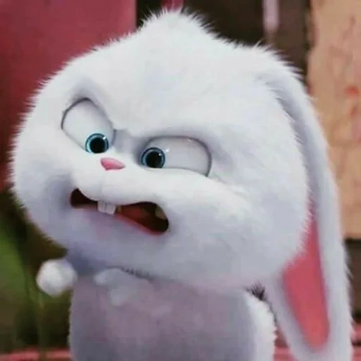 conejito malvado, caricatura de conejito, bola de nieve de conejo, conejo malvado, vida secreta de mascotas liebre bola de nieve