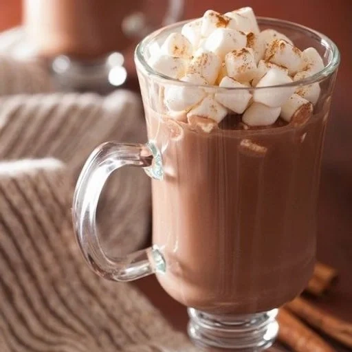 chocolat et cacao, chocolat chaud, guimauve au cacao, chocolat chaud guimauve cannelle, verre à marshmallow au chocolat chaud