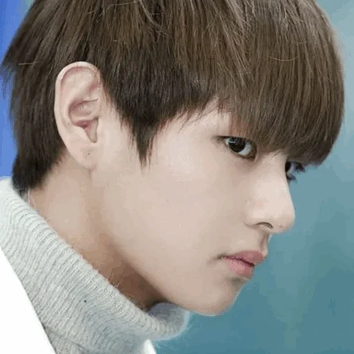 jung jungkook, kim ta hyun, kim taehen ears, bts kim taehyung, perfil de kim taehyun