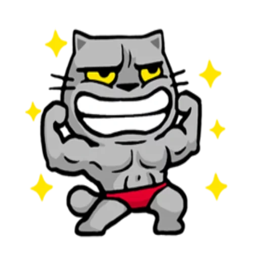 angry cat, evil cats, the cat is simple, cat sport, the cat is dirty