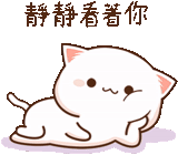 kucing mochi, kawai seal, kucing persik mochi, lukisan kawai yang lucu