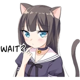 Tsundere Cat Girl Miyako