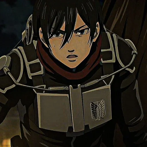 l'attacco dei titani, mikasa ackerman, mikasa ackerman, i tre baffi attaccano i titani, attacca i personaggi titani