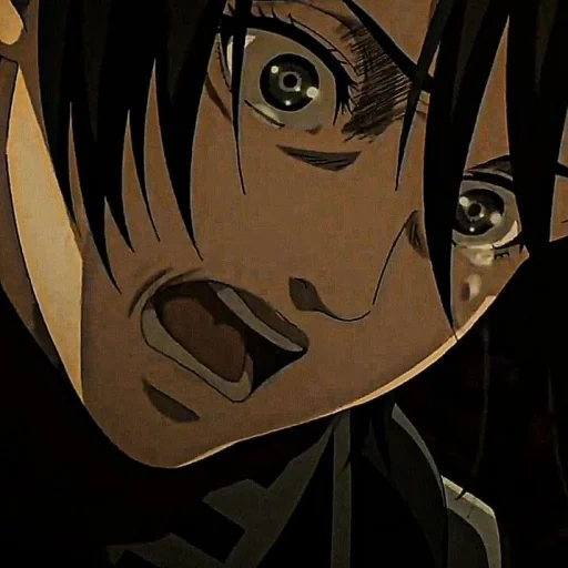 anime, mikasa, anime titanen, angriff der titanen, mikasa ist ein böses gesicht