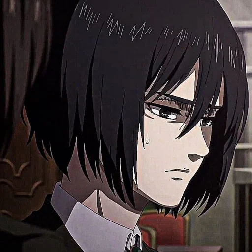 ataque titã, mikasa ackerman, mikasa ackermann, o ataque dos três deuses titãs, o ataque do titã está perdido no mundo cruel