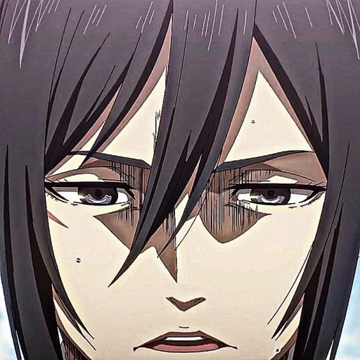 animação, mikasa, criatividade de animação, animação sancha, personagem de anime