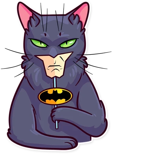 cat, kucing salem, warrior cat, kucing superhero