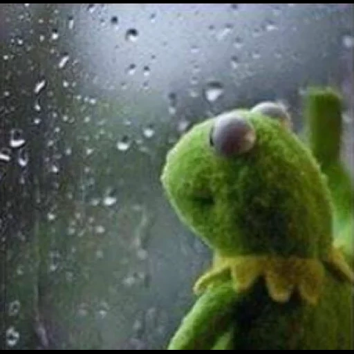rain outside the window, frog cermit, sad frog, cermit by the window rain, the frog is sad alive