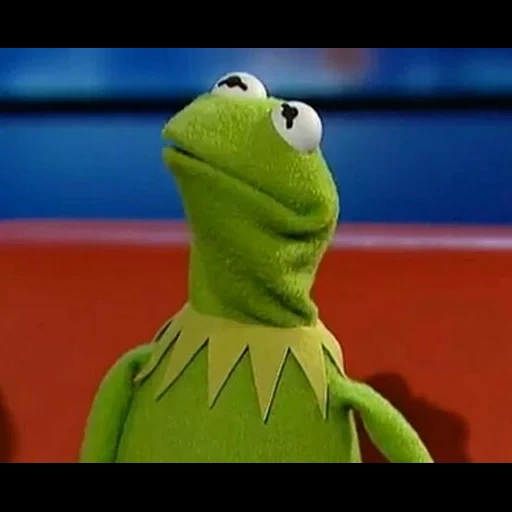 kermit, mappet show, kermit meme, frog cermit, the frog kermita laughs